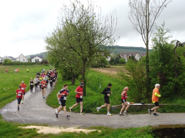 0055-2026-04-19-10-04-06-dji_0203